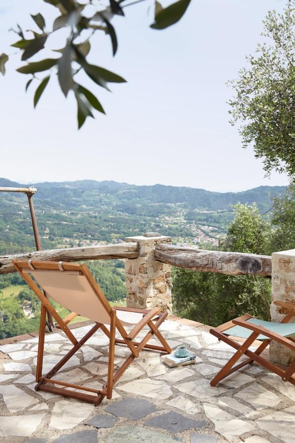Casa Berti - Urlaub Im Olivenhain Camaiore Eksteriør billede
