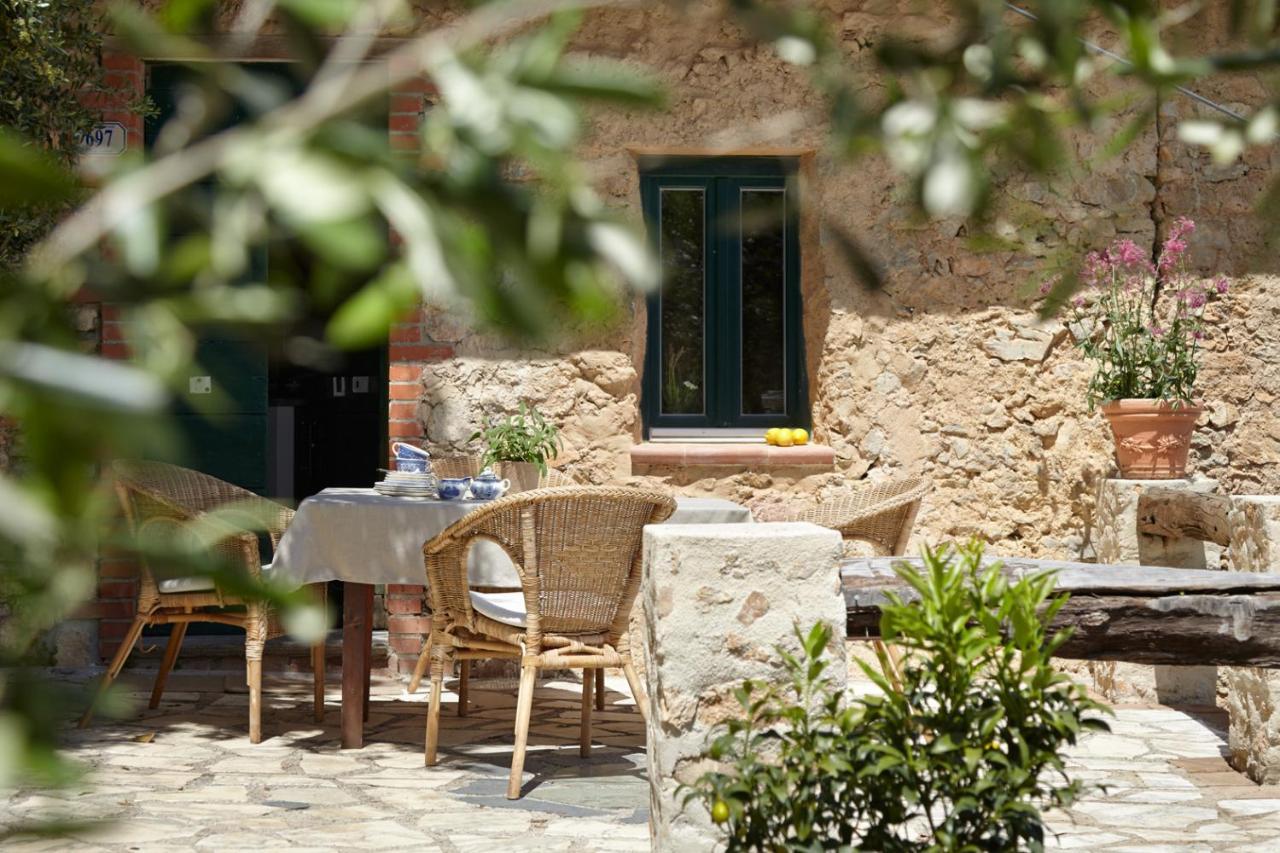 Casa Berti - Urlaub Im Olivenhain Camaiore Eksteriør billede